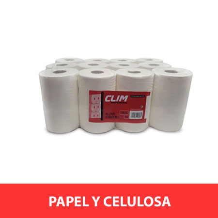 papel y celulosa